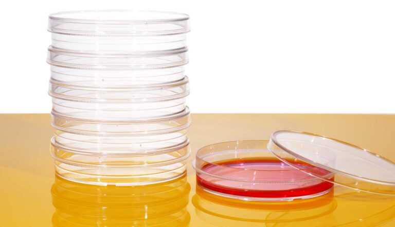 TC treated cell culture dish