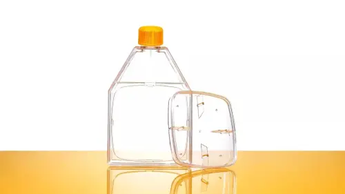 cell culture flasks